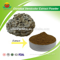 Best Seller of Coriolus Versicolor Extract Powder